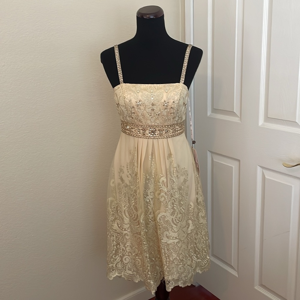 New Sue Wong Champagne Cinderella Rhinestone Embroidery Lace Event Dress